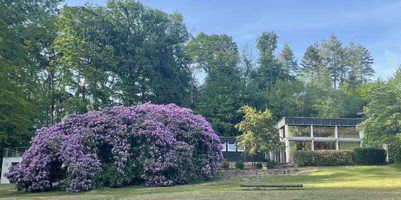 Rhododendron und Seminarkomplex aus Richtung Süden